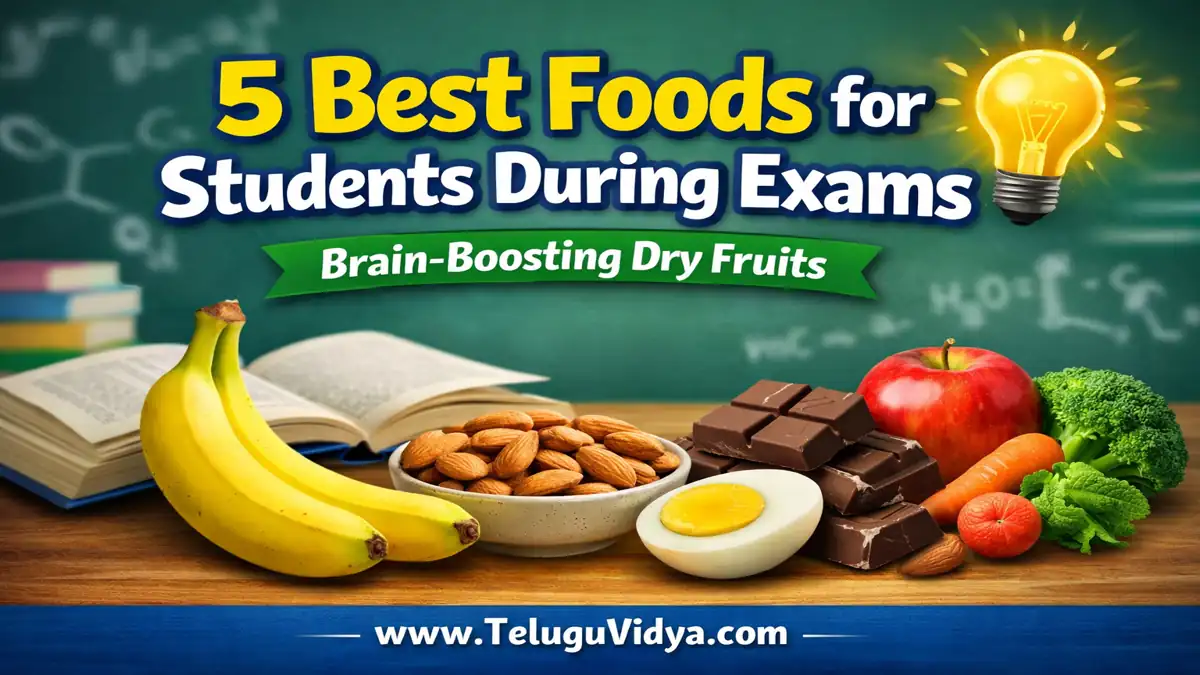 5 Best Foods for Students During Exams – Powerful Brain Boosting Diet Guide
