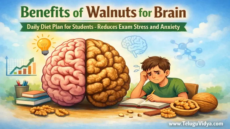 Benefits of Walnuts for Brain 7 Powerful Memory Boosting Secrets for Students
